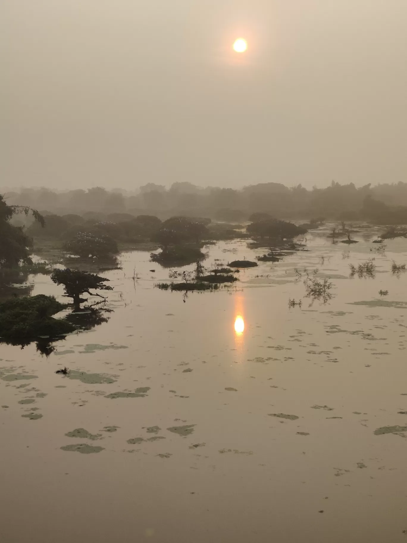 Photo of Vedanthangal Bird Sanctuary By Karthikeyan 