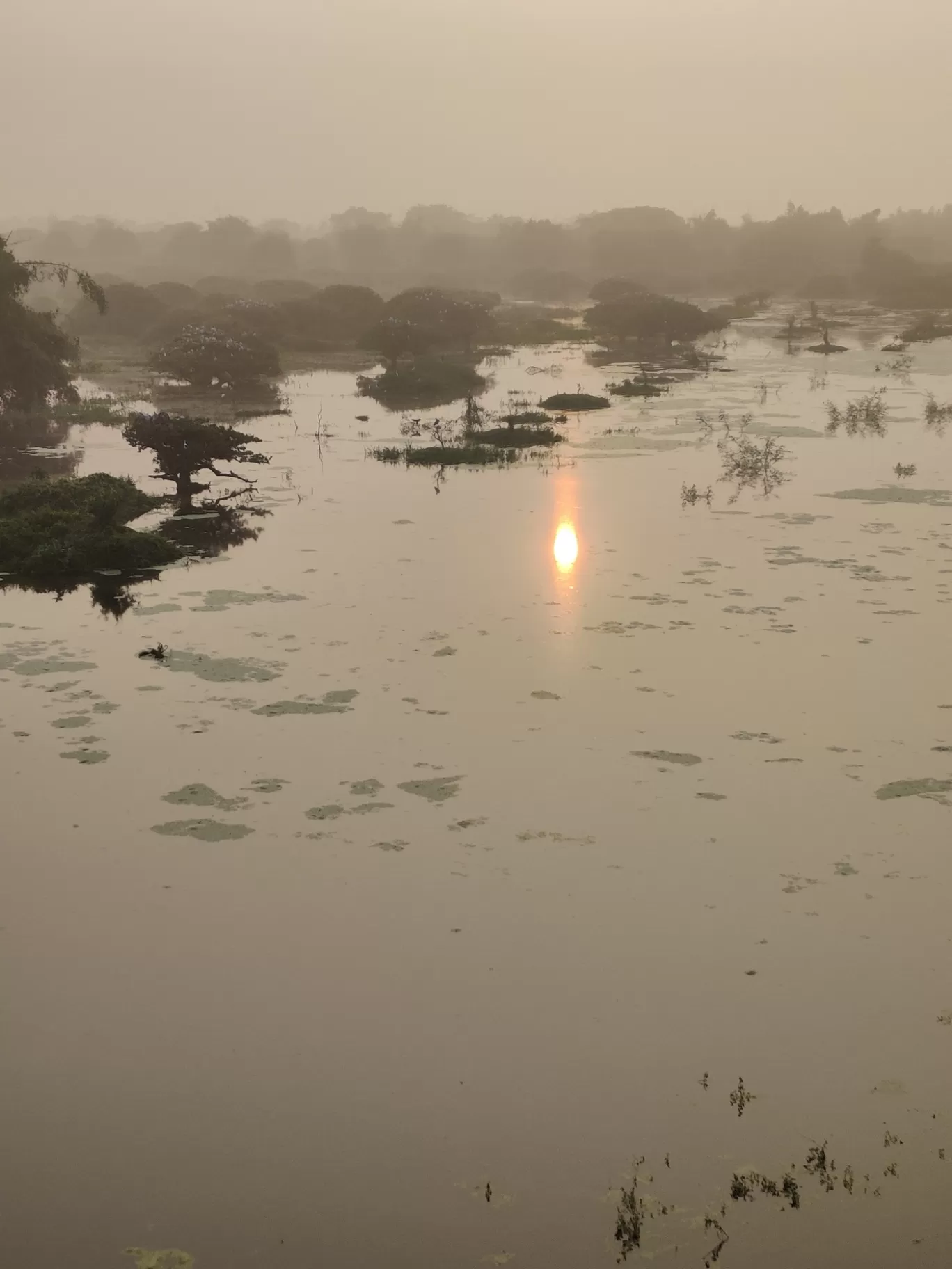 Photo of Vedanthangal Bird Sanctuary By Karthikeyan 