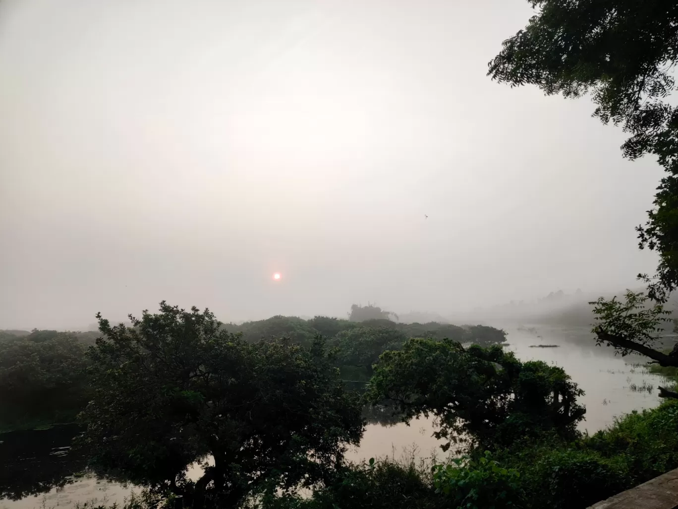 Photo of Vedanthangal Bird Sanctuary By Karthikeyan 