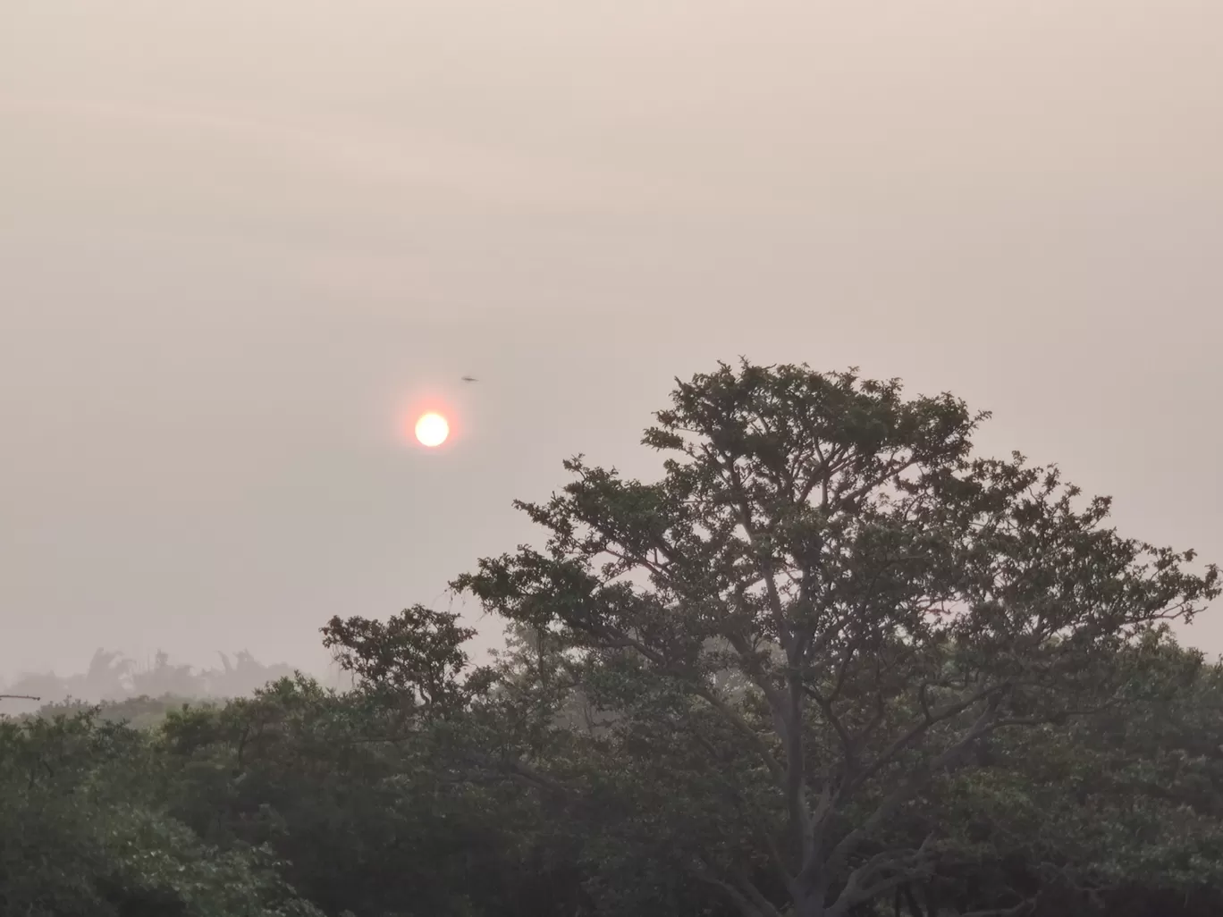 Photo of Vedanthangal Bird Sanctuary By Karthikeyan 