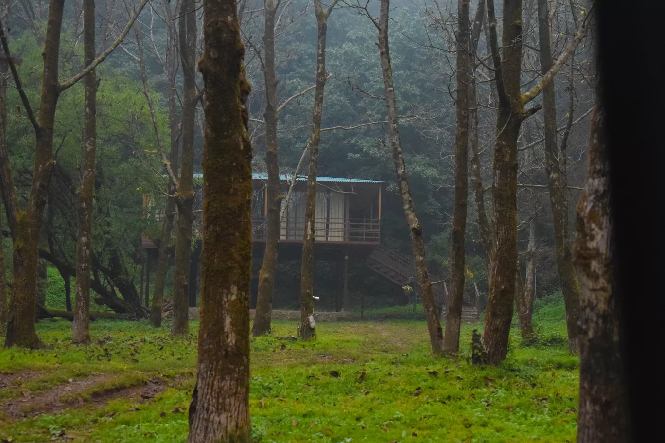 Photo of The Dolina Retreat By Chandan deep Kour