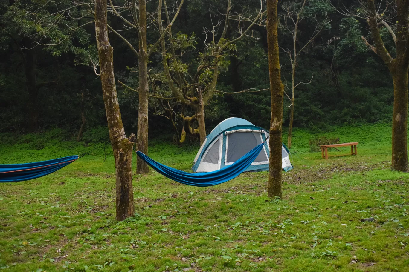 Photo of The Dolina Retreat By Chandan deep Kour