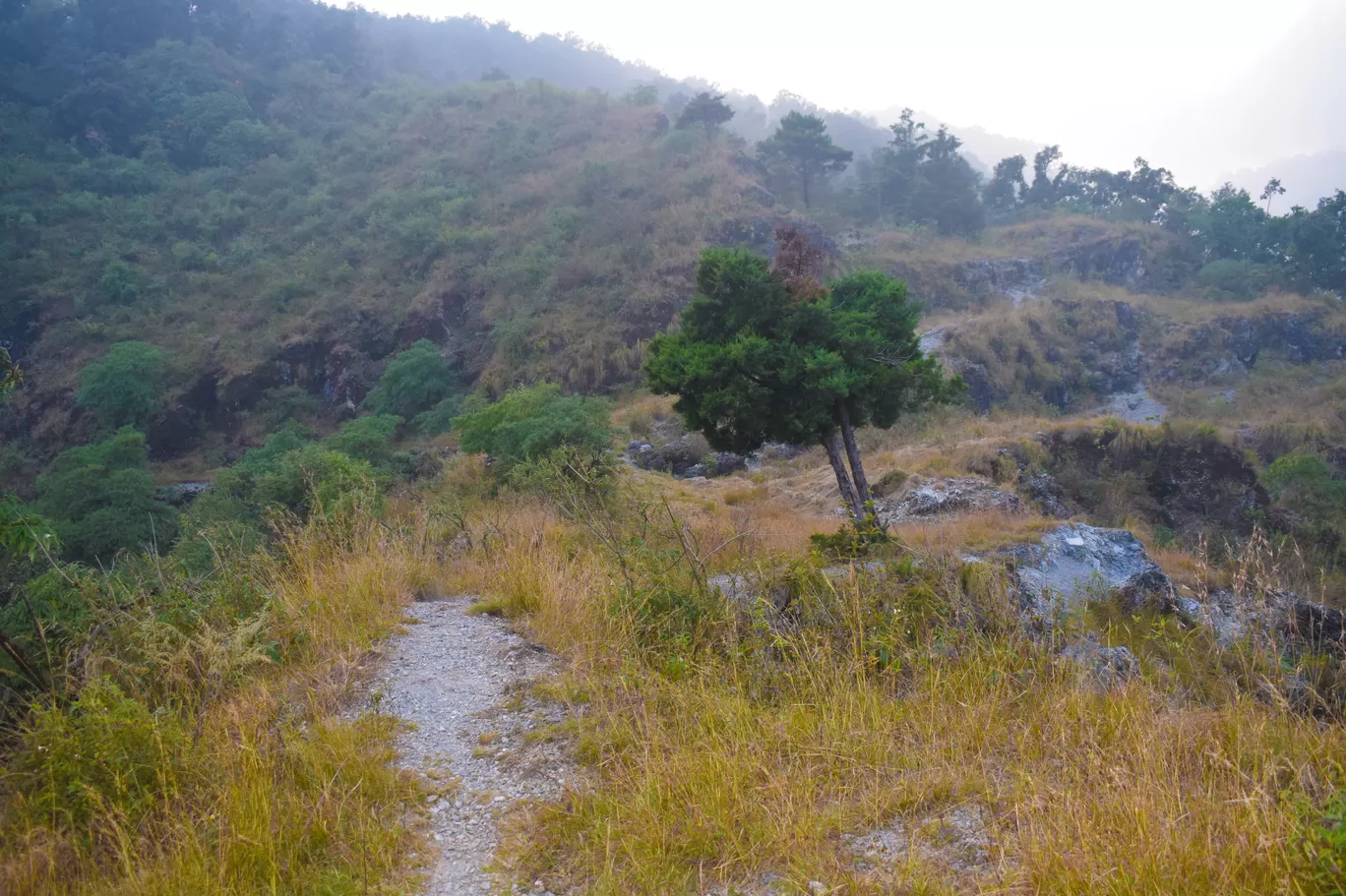Photo of The Dolina Retreat By Chandan deep Kour