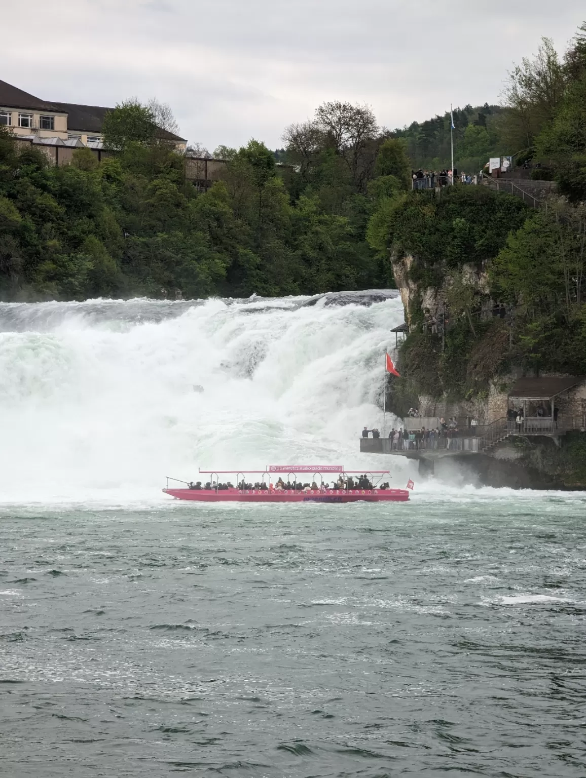 Photo of Rhine Falls By Chandan deep Kour