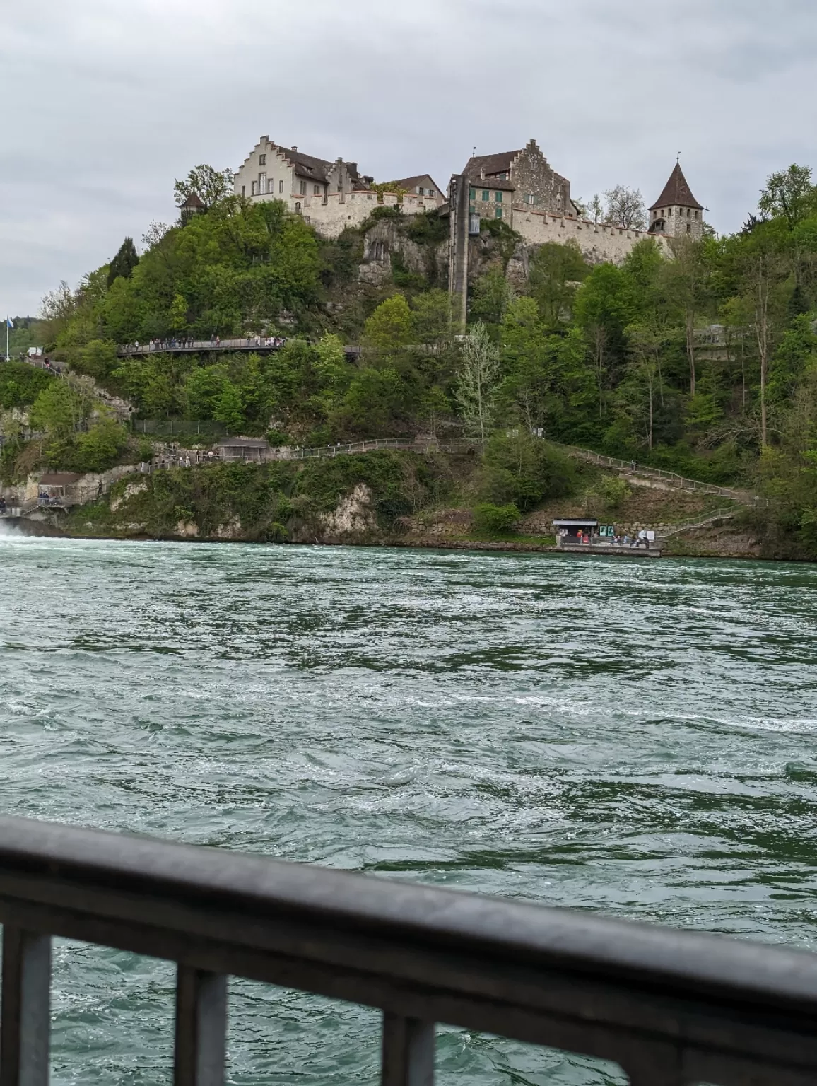 Photo of Rhine Falls By Chandan deep Kour