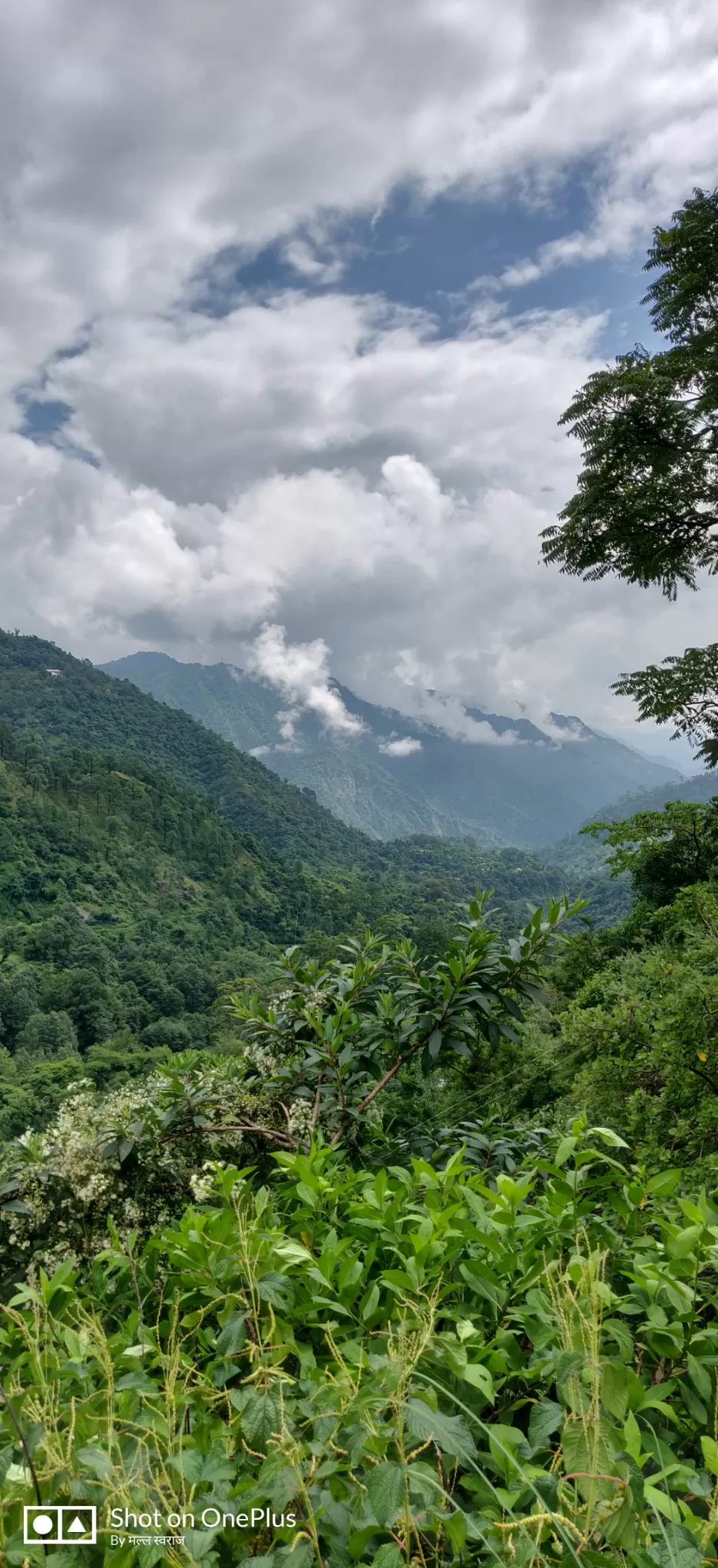 Photo of Nainital By Mall Swaraj