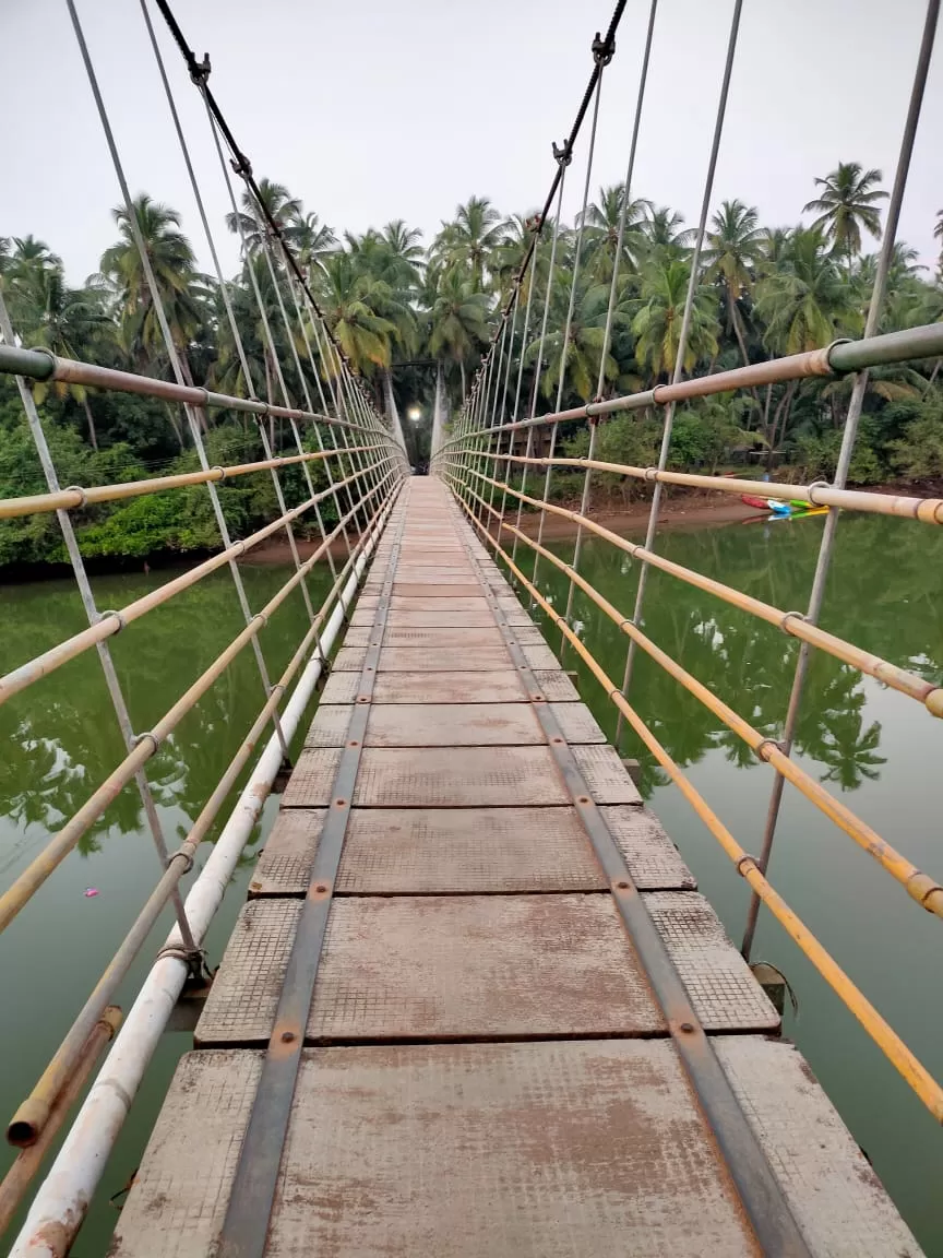 Photo of Thimmana Kuduru Hanging Bridge By Sangeeta Bej