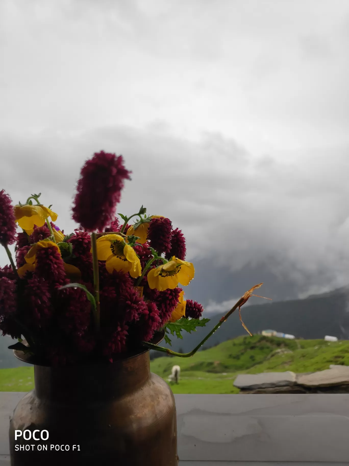 Photo of Tungnath By Nitin Kumar