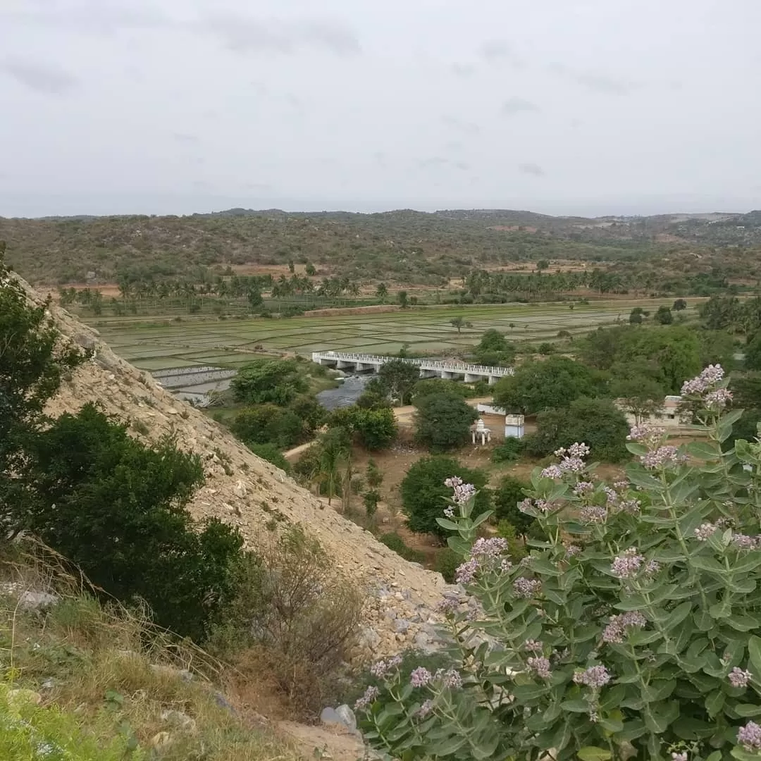 Photo of Hosur By Mahesha Iyer