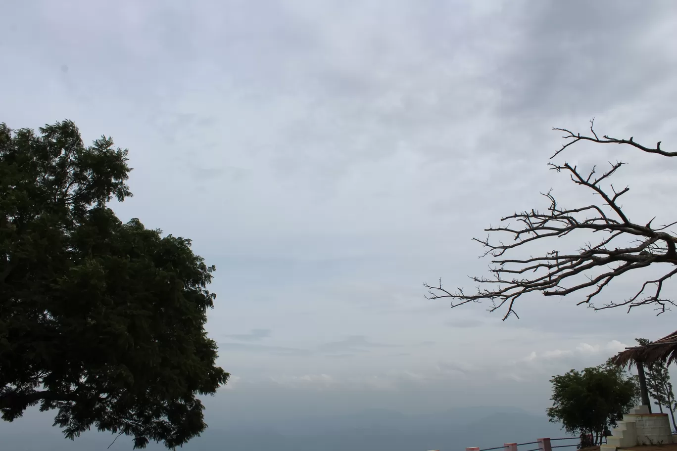 Photo of Yercaud Hill Station By Rishabh Pengoriya 