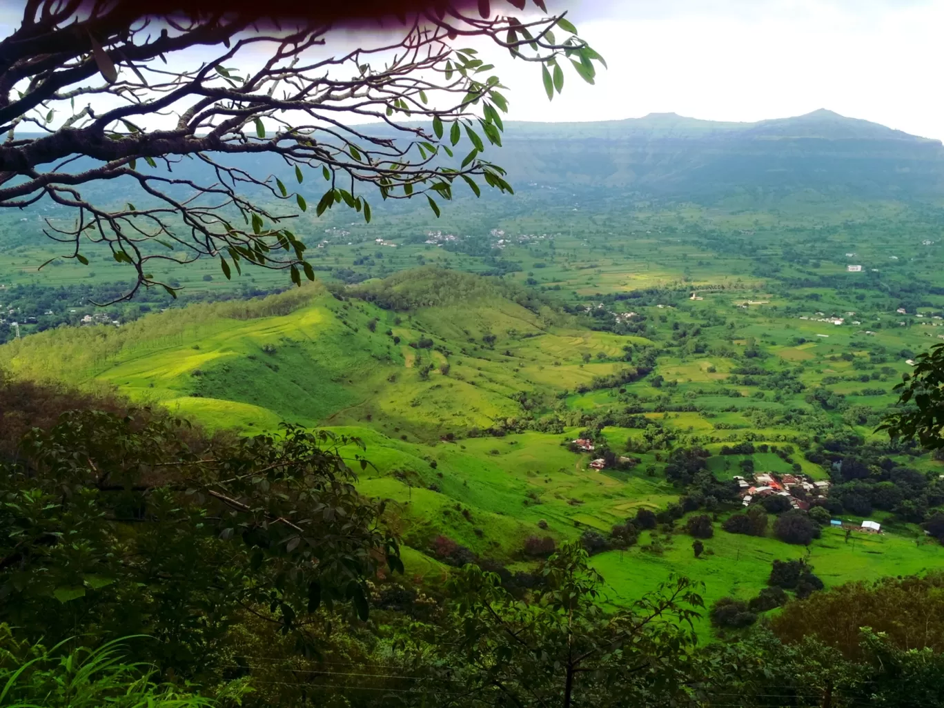 Photo of Thoseghar Waterfall By Shri