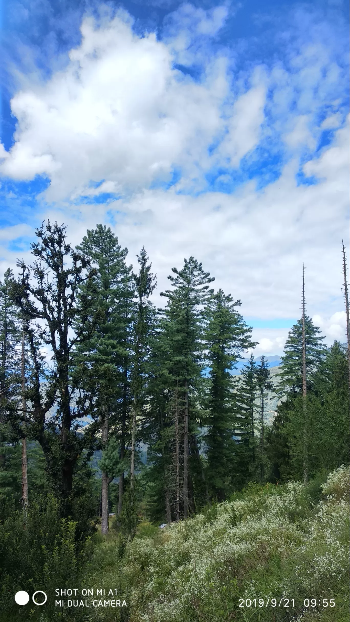 Photo of Chanshal Pass By Deepak Rathour