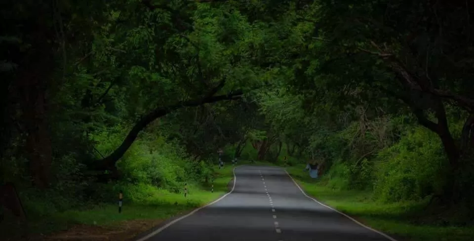 Photo of Valparai By Ajish Raj Vijayakumari