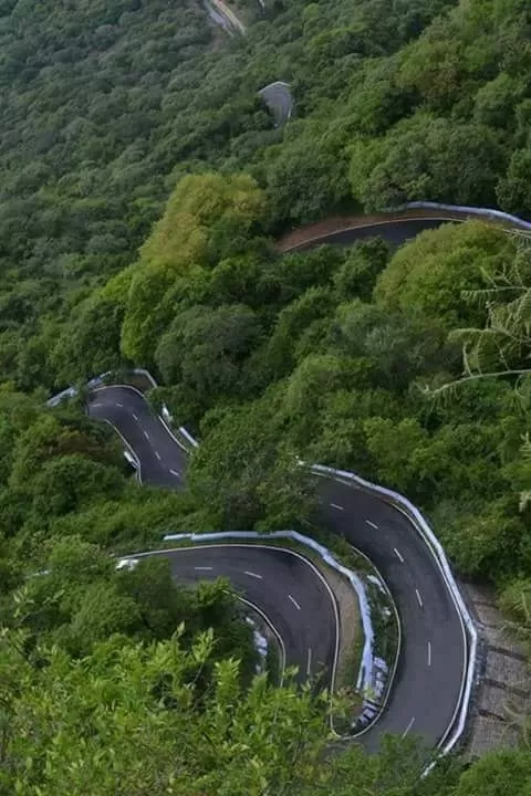 Photo of Valparai By Ajish Raj Vijayakumari
