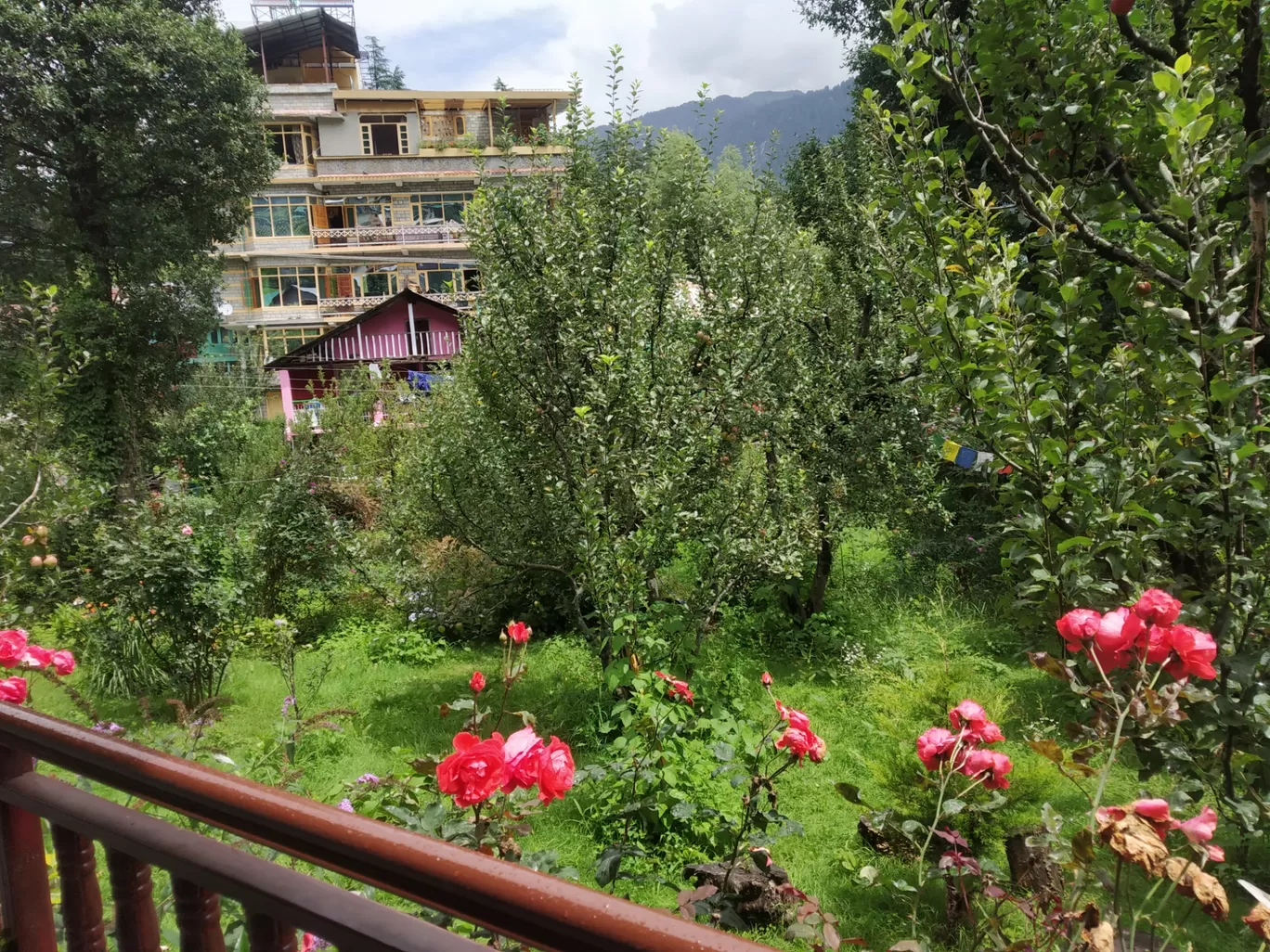 Photo of Manali By Anura