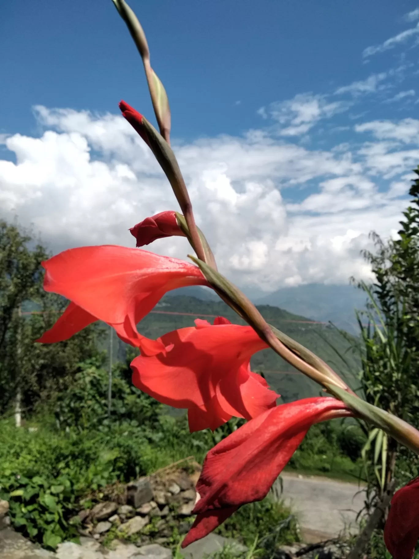 Photo of Baragaon By Ashish Sharma