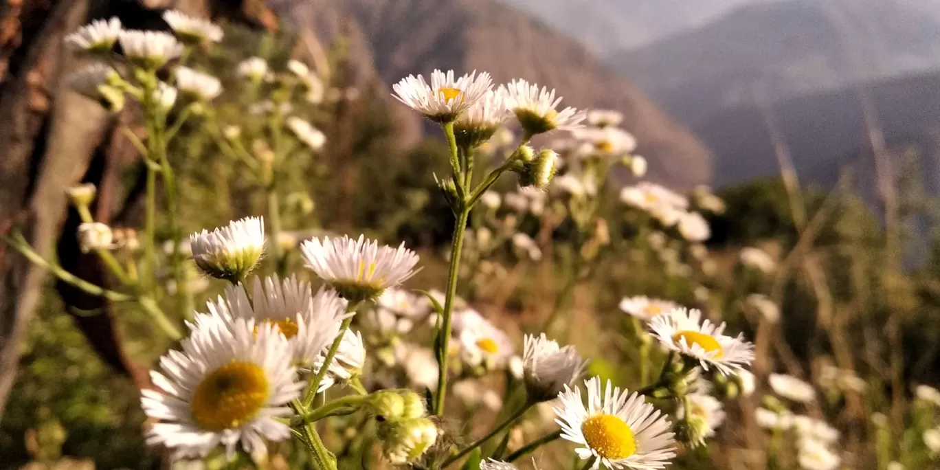 Photo of Baragaon By Ashish Sharma