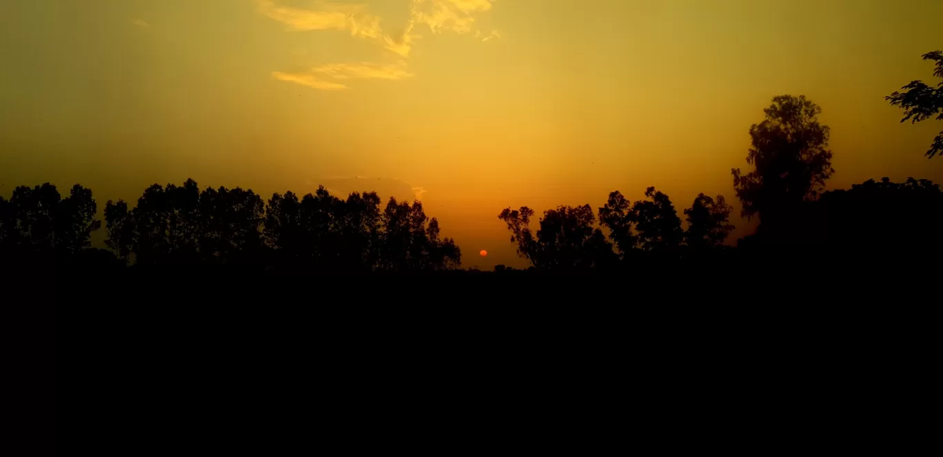 Photo of UP By Saranya Pathak