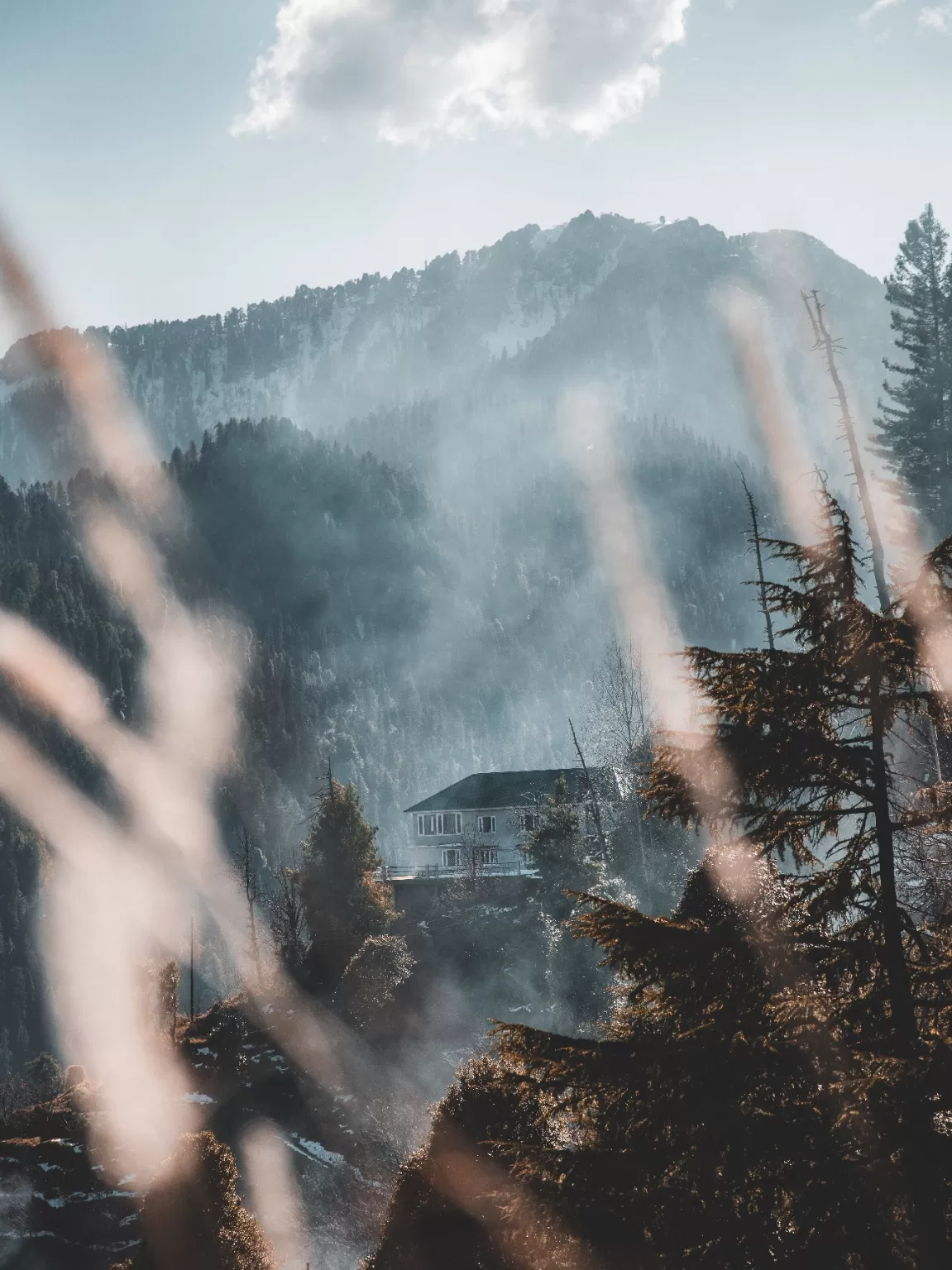 Photo of Kotgarh By Tumuskura : Feeling Himalayas