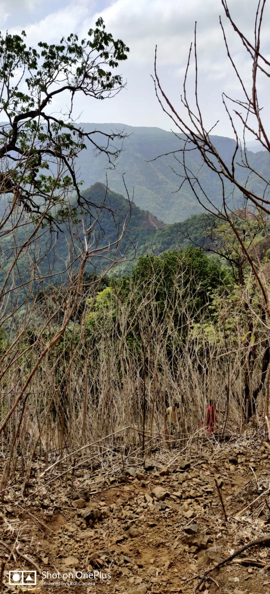 Photo of Sindhudurg By Rohan Dhuri