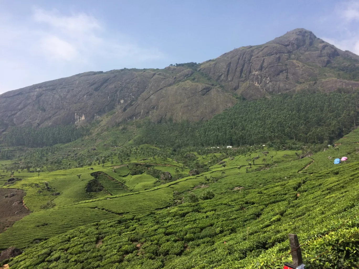 Photo of Munnar By RININ RININ
