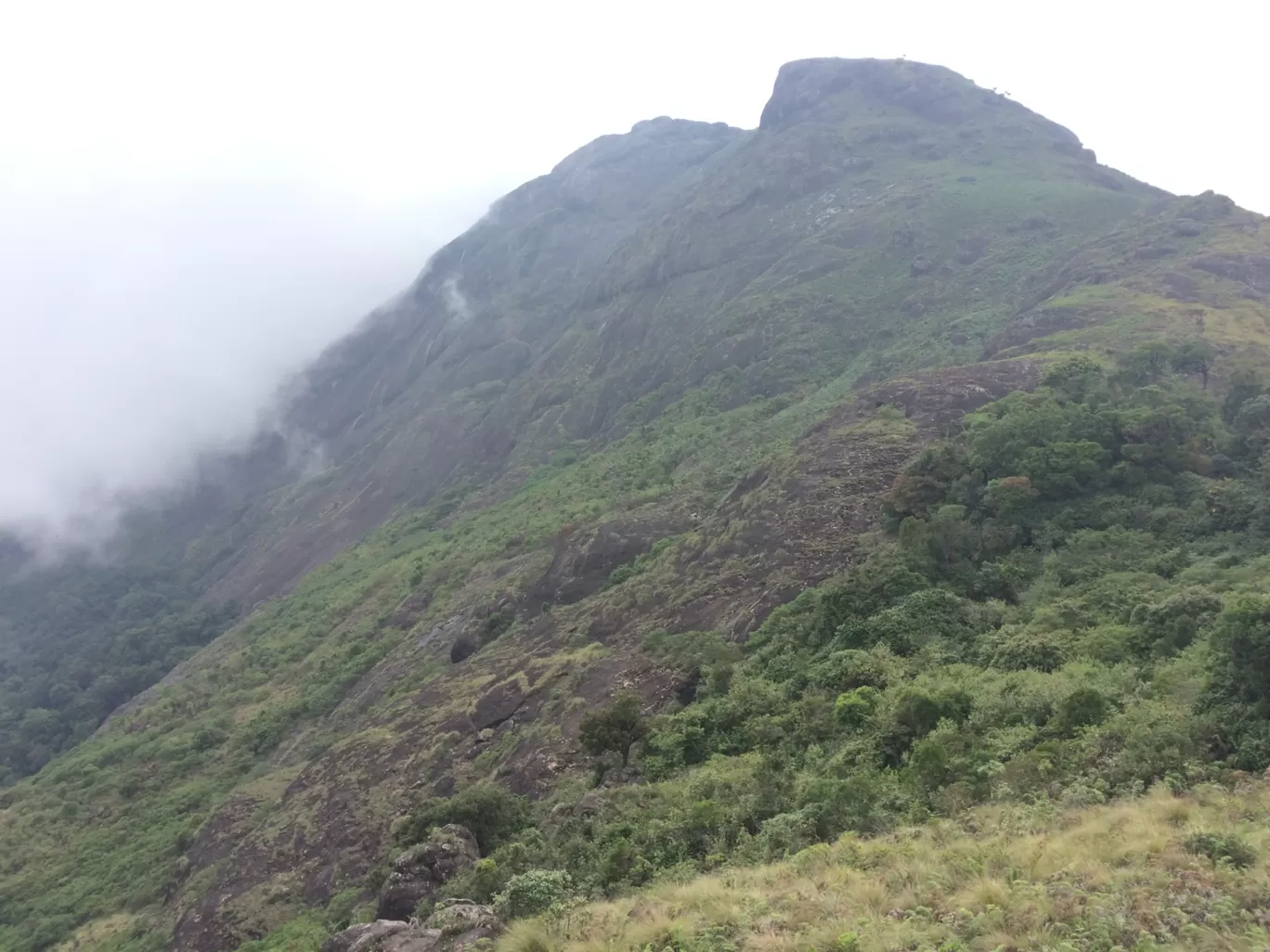 Photo of Munnar By RININ RININ