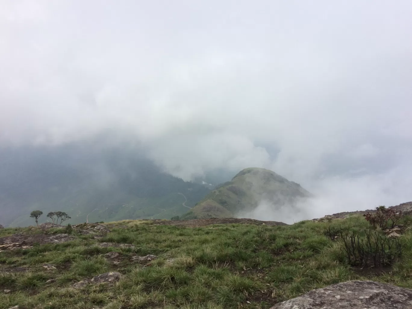 Photo of Munnar By RININ RININ