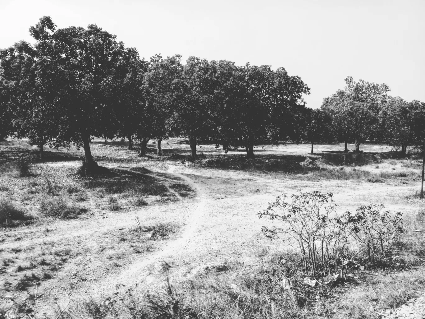 Photo of Assi Ghat(अस्सी घाट) By Ghummakad(घुम्मक्कड)