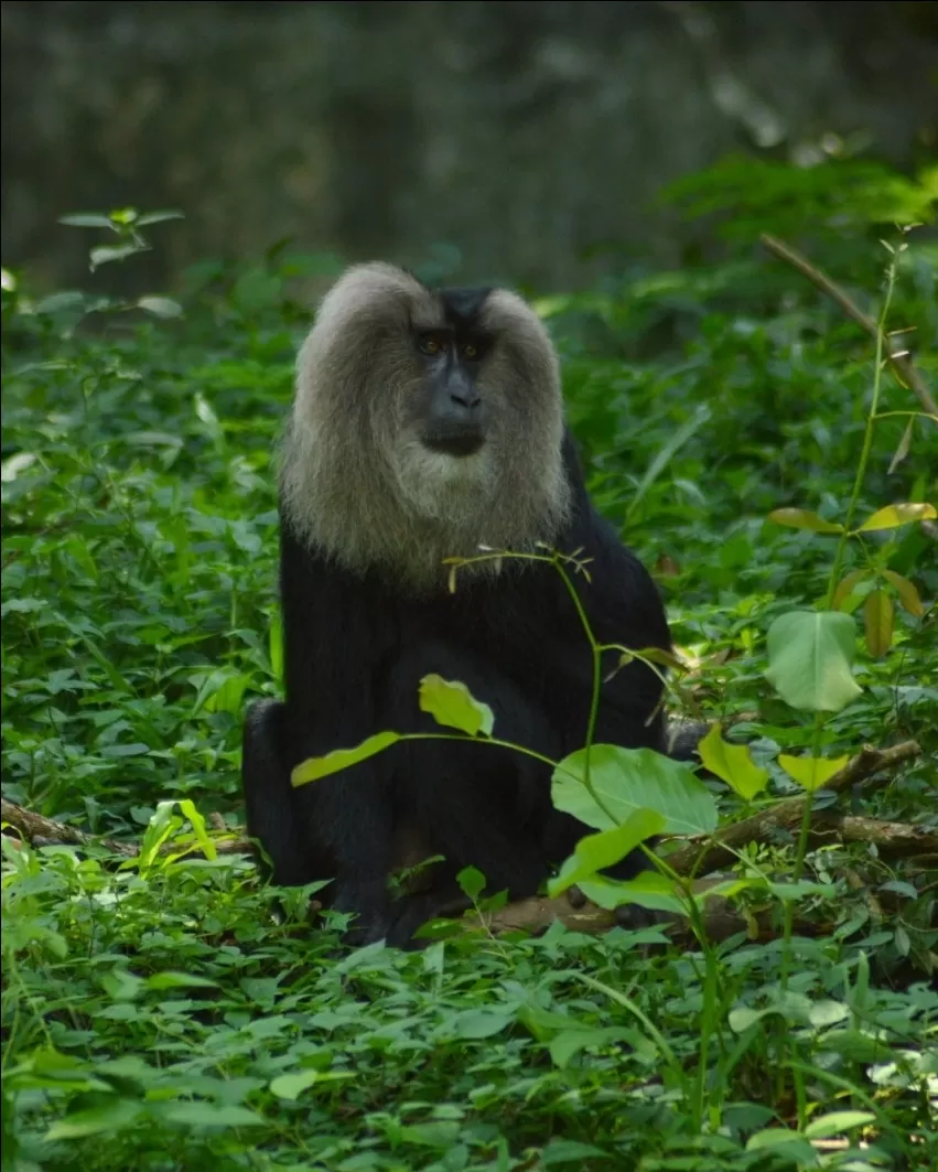 Photo of Trivandrum Zoo By Jishnu Ravi