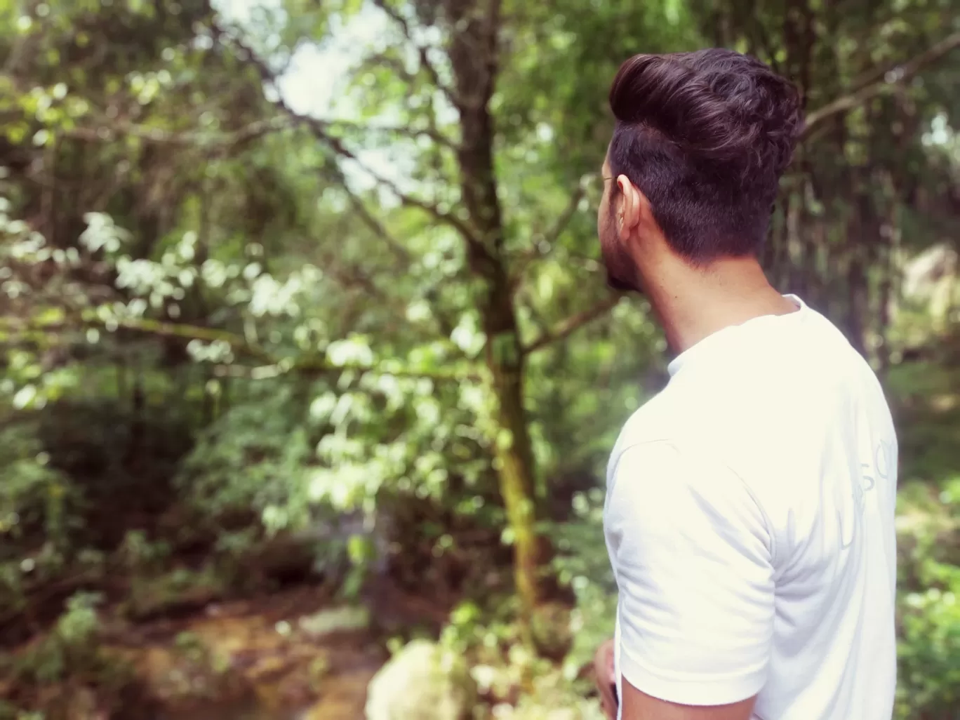Photo of Palampur By Ankush Sharma