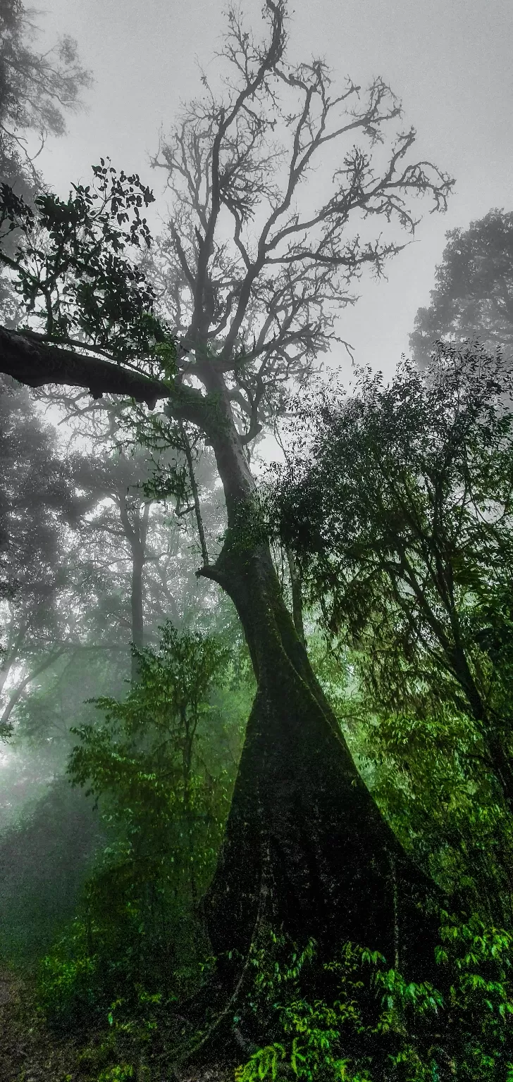 Photo of Kudremukh Peak Top By Prashanth Rao