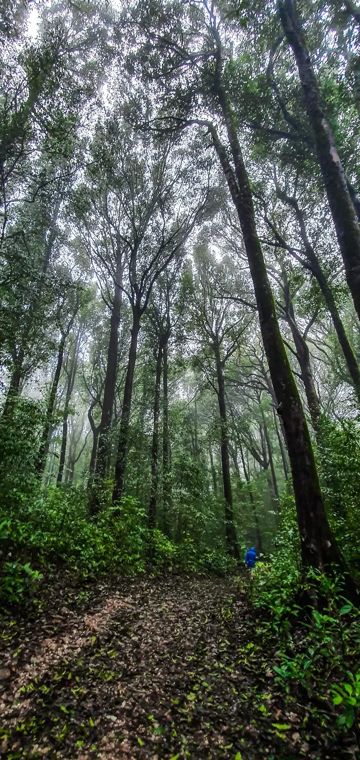 Photo of Kudremukh Peak Top By Prashanth Rao