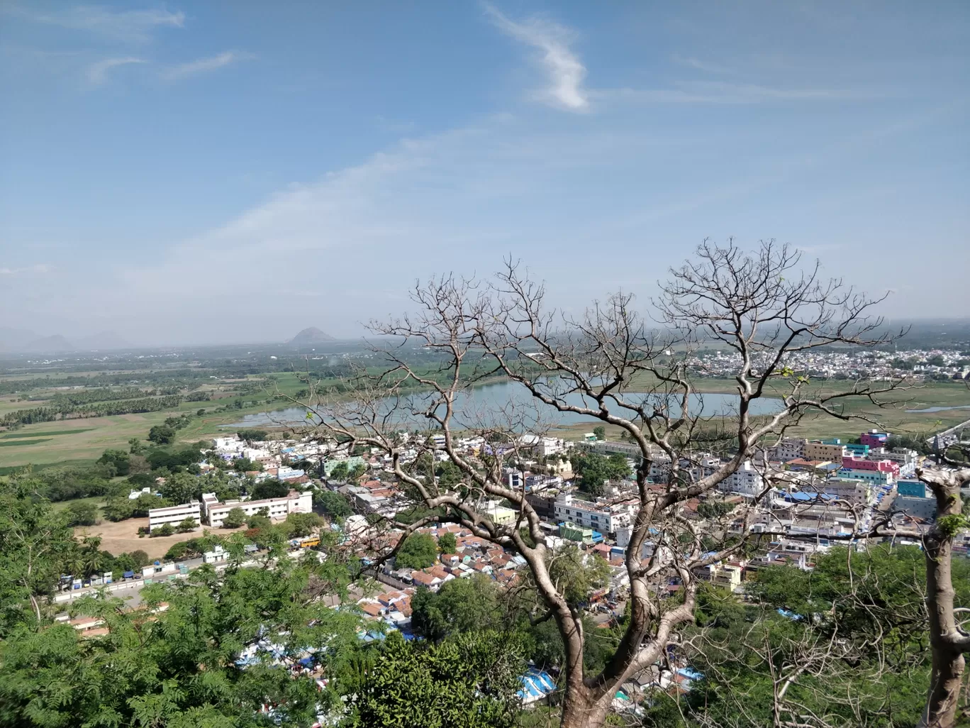 Photo of Palani Murugan Temple By Syam Krishnan