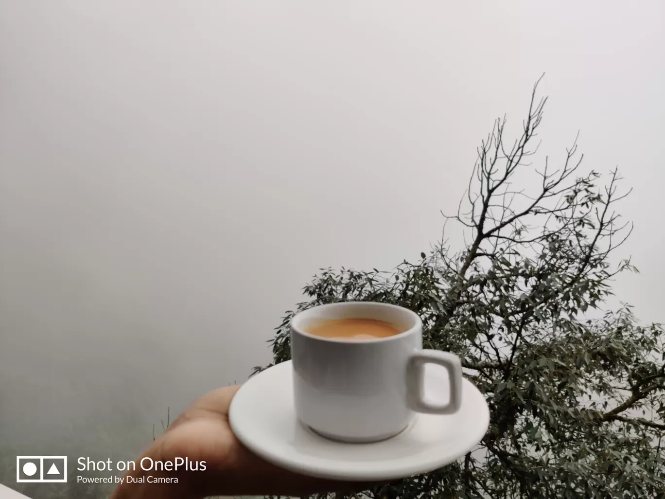 Photo of Dalhousie By Nivedita Masih