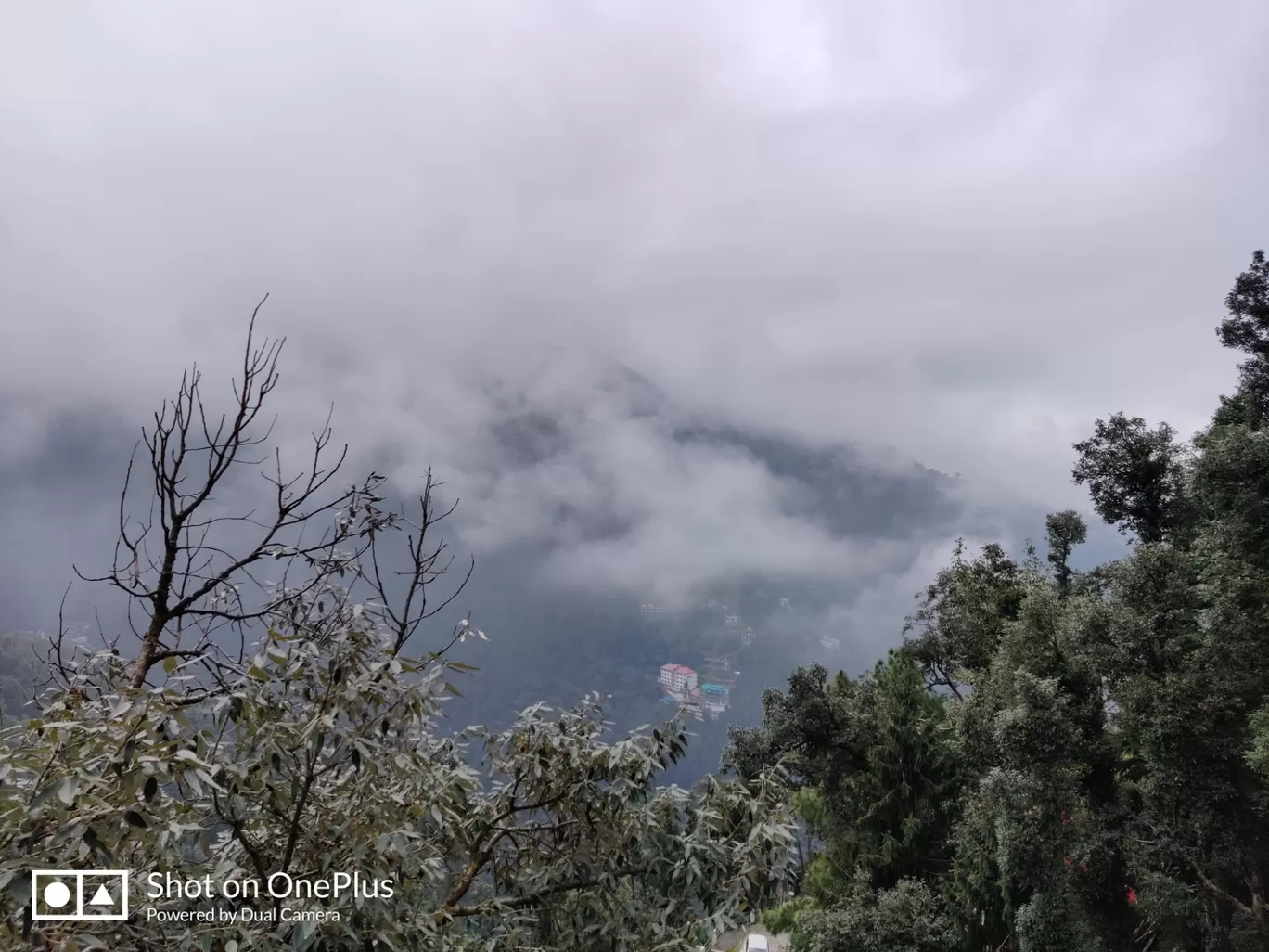 Photo of Dalhousie By Nivedita Masih