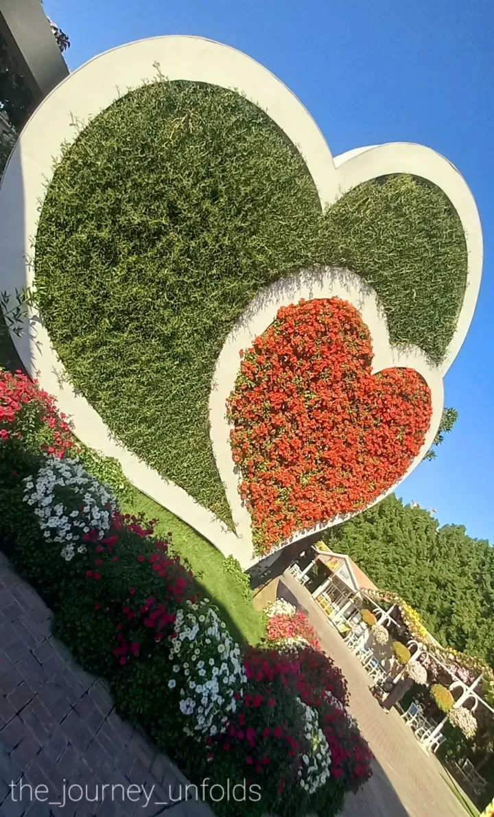Photo of Miracle Garden By Raeesah Tamboli
