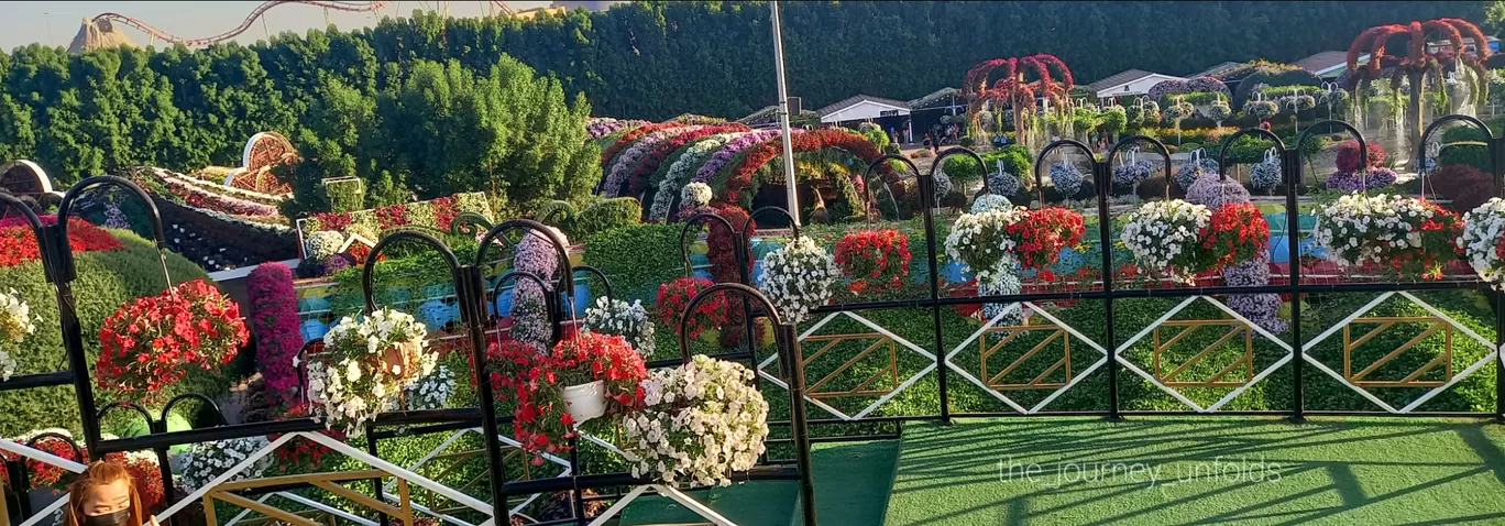 Photo of Miracle Garden By Raeesah Tamboli