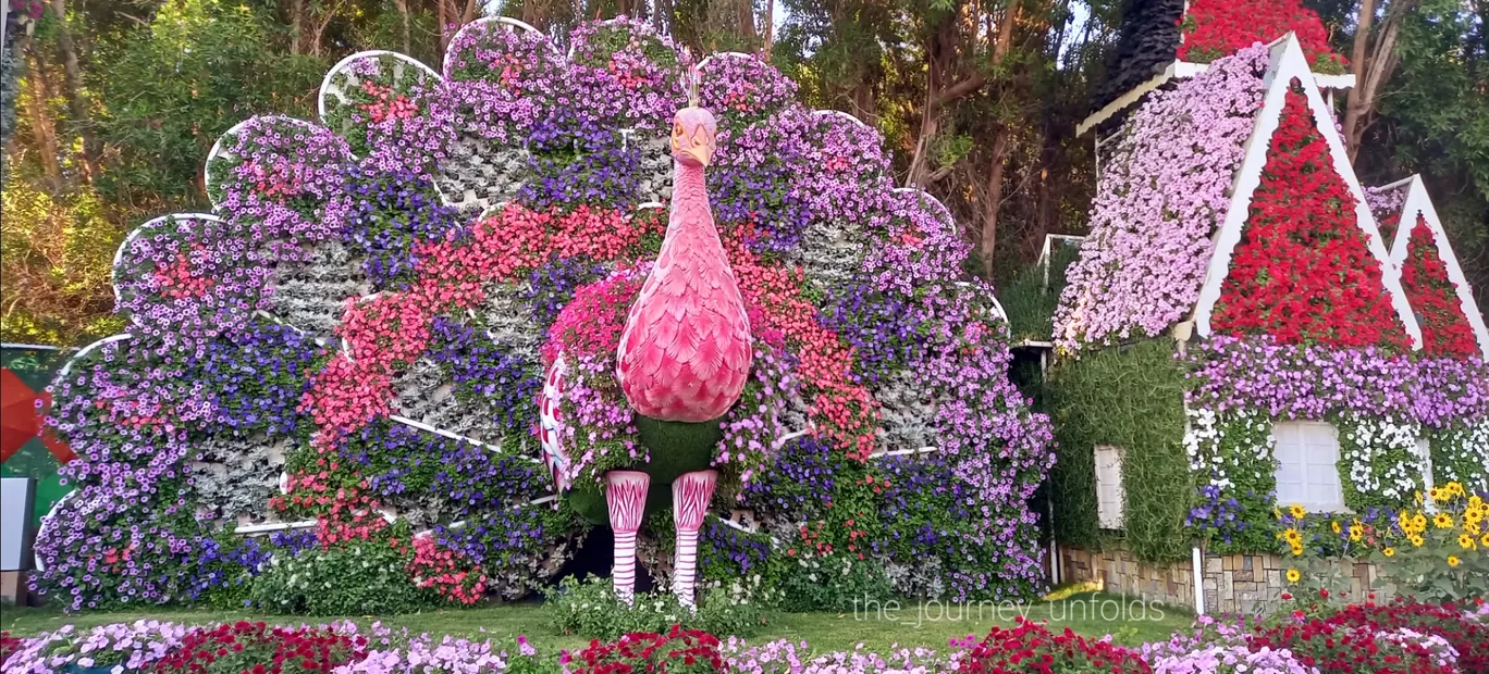 Photo of Miracle Garden By Raeesah Tamboli
