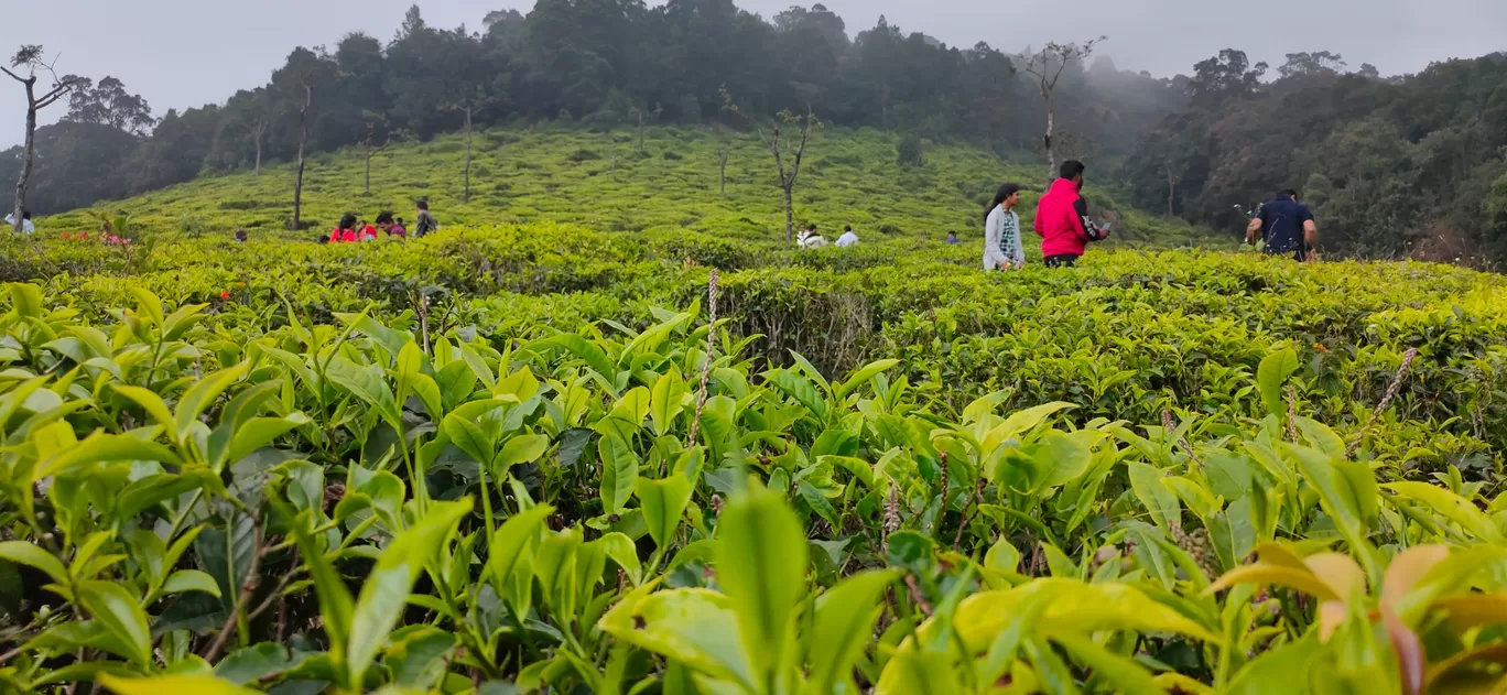 Photo of Ooty Bus Stand (Udhagamandalam) By Satvir Singh