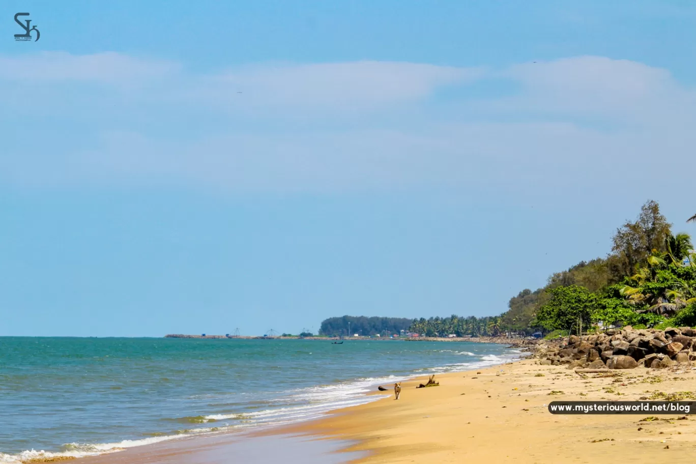Photo of Cherai Beach By SYRIL T KURIAN