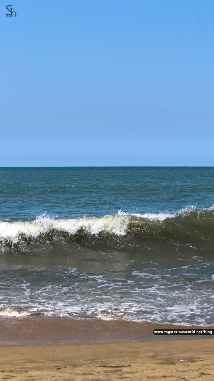 Photo of Cherai Beach By SYRIL T KURIAN