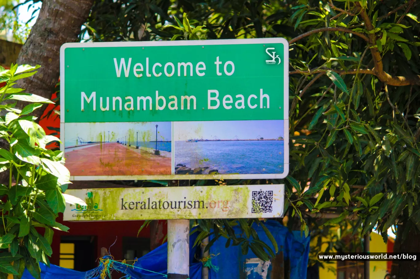 Photo of Cherai Beach By SYRIL T KURIAN
