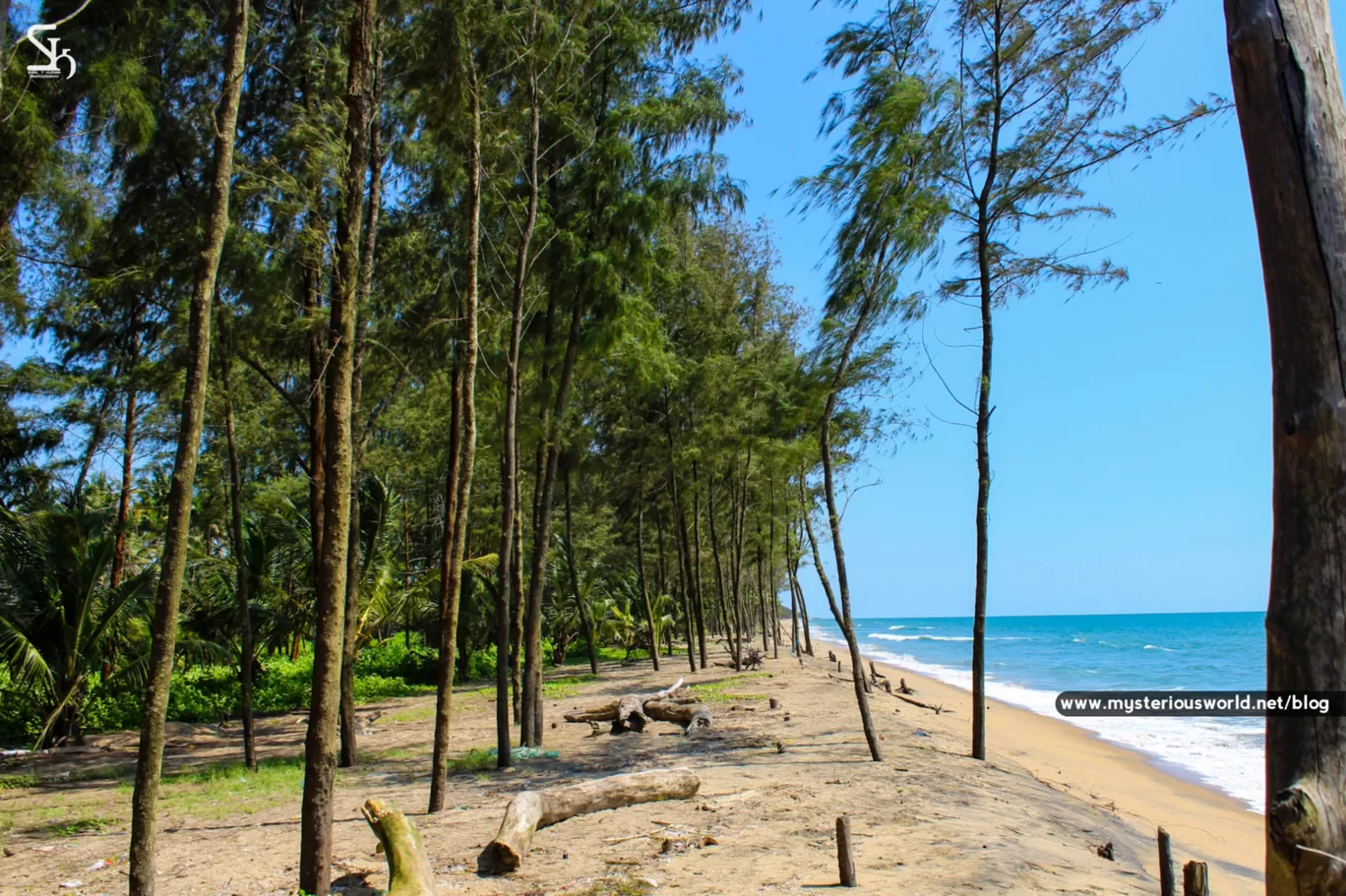 Photo of Cherai Beach By SYRIL T KURIAN