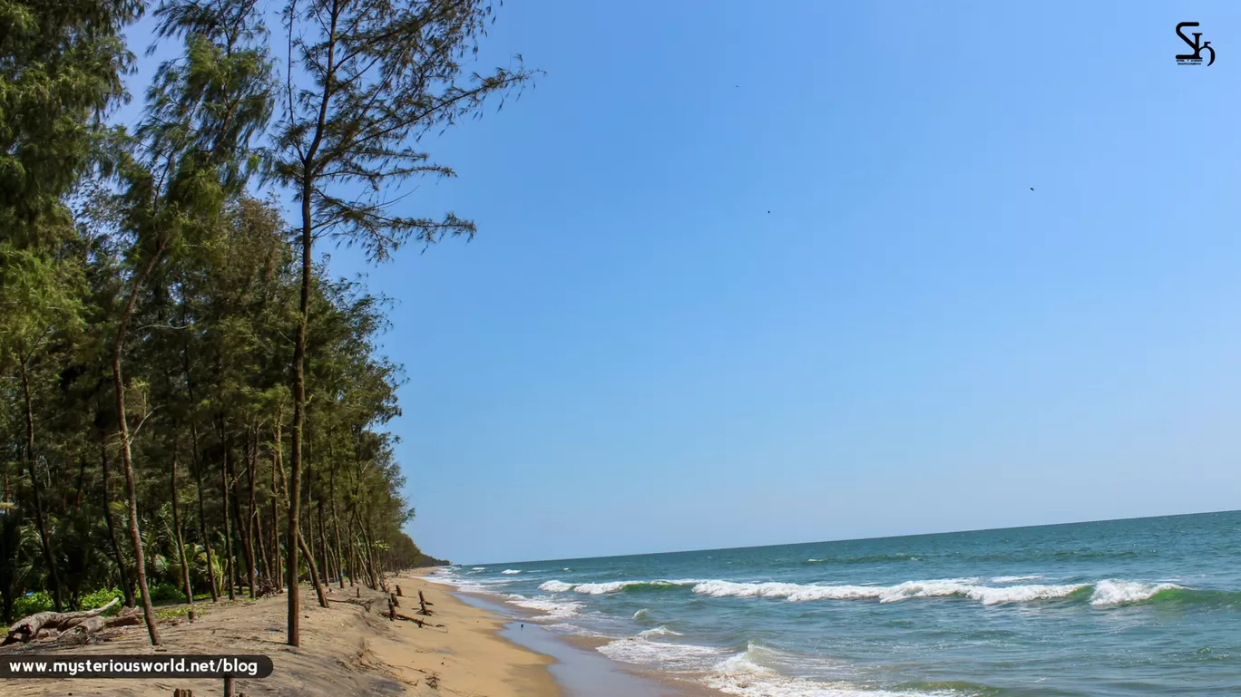 Photo of Cherai Beach By SYRIL T KURIAN