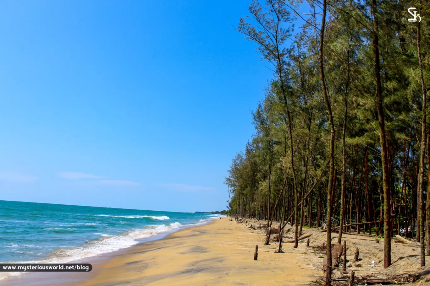 Photo of Cherai Beach By SYRIL T KURIAN