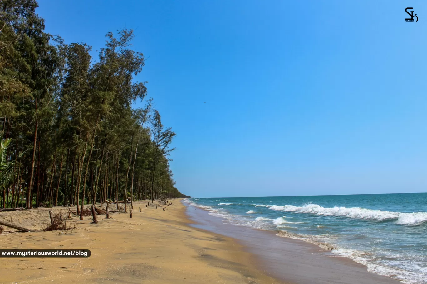 Photo of Cherai Beach By SYRIL T KURIAN