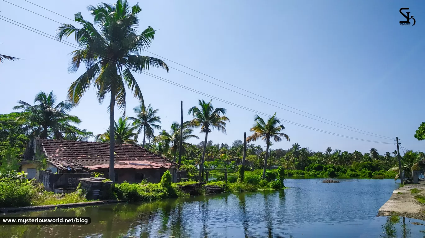 Photo of Cherai Beach By SYRIL T KURIAN