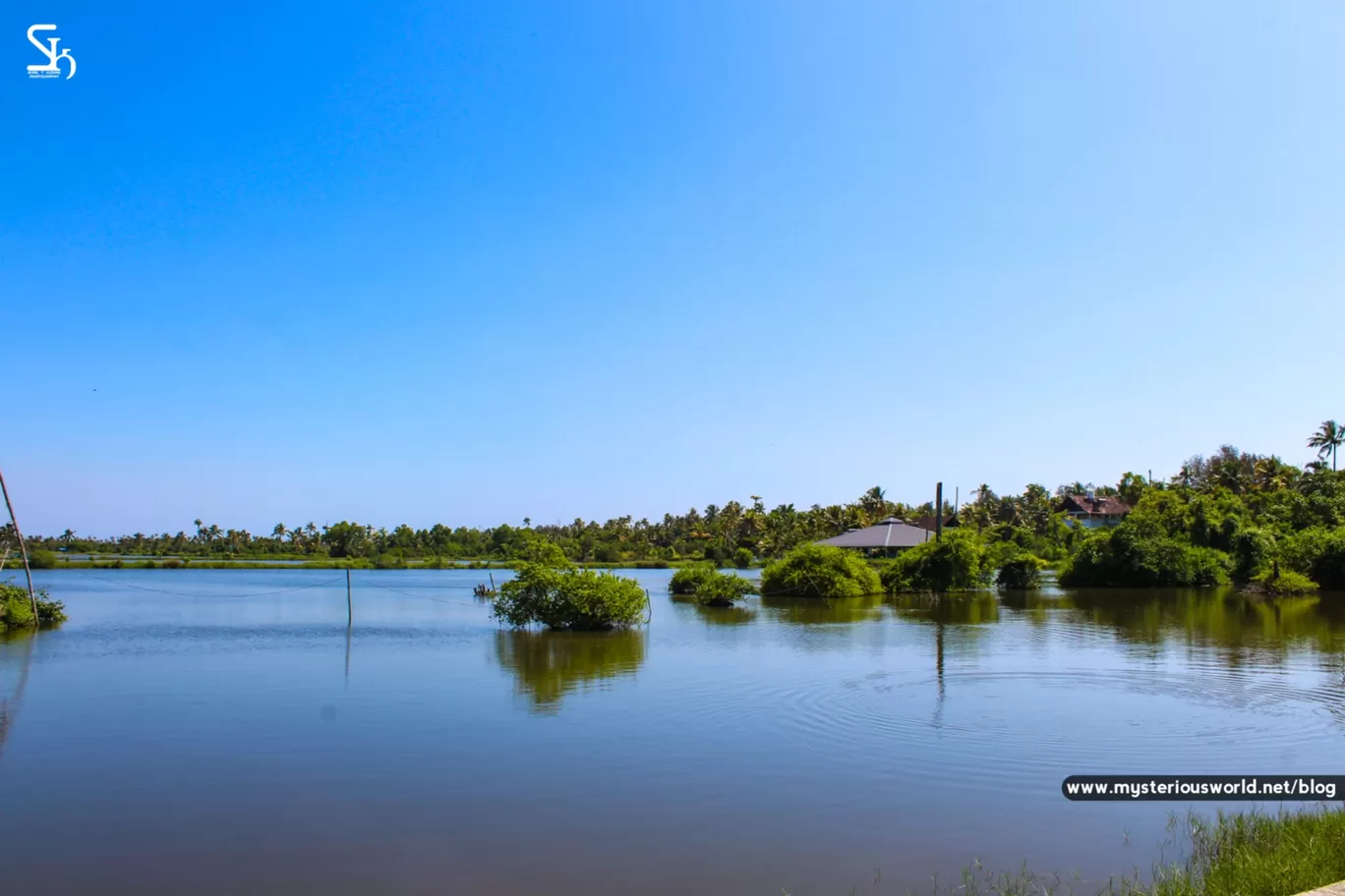 Photo of Cherai Beach By SYRIL T KURIAN