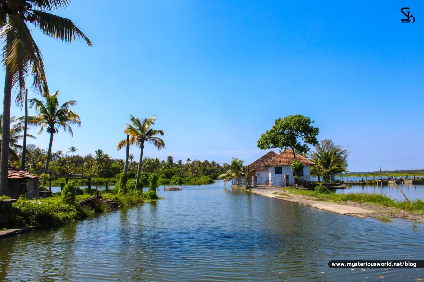 Photo of Cherai Beach By SYRIL T KURIAN