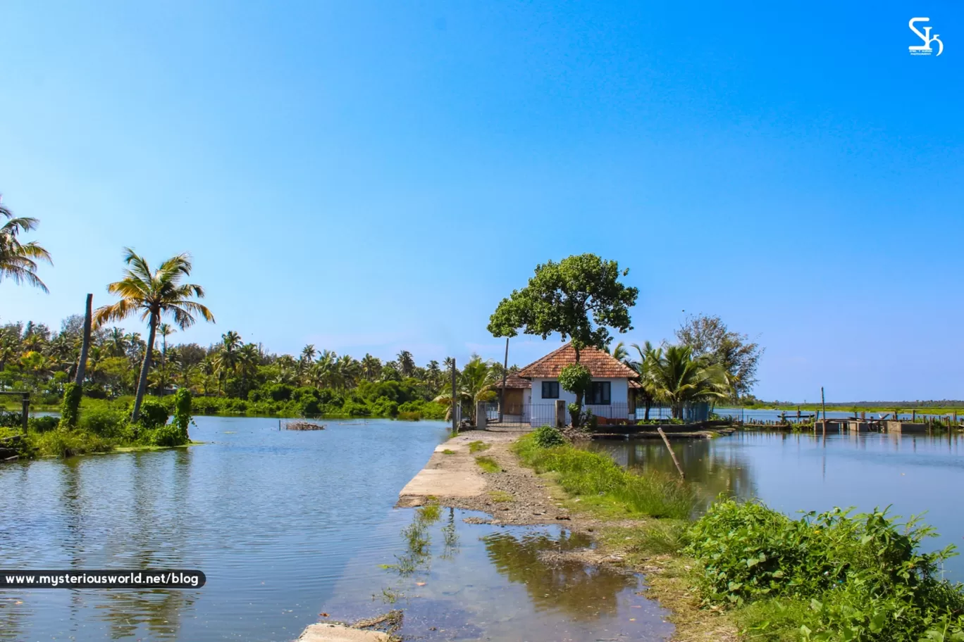 Photo of Cherai Beach By SYRIL T KURIAN